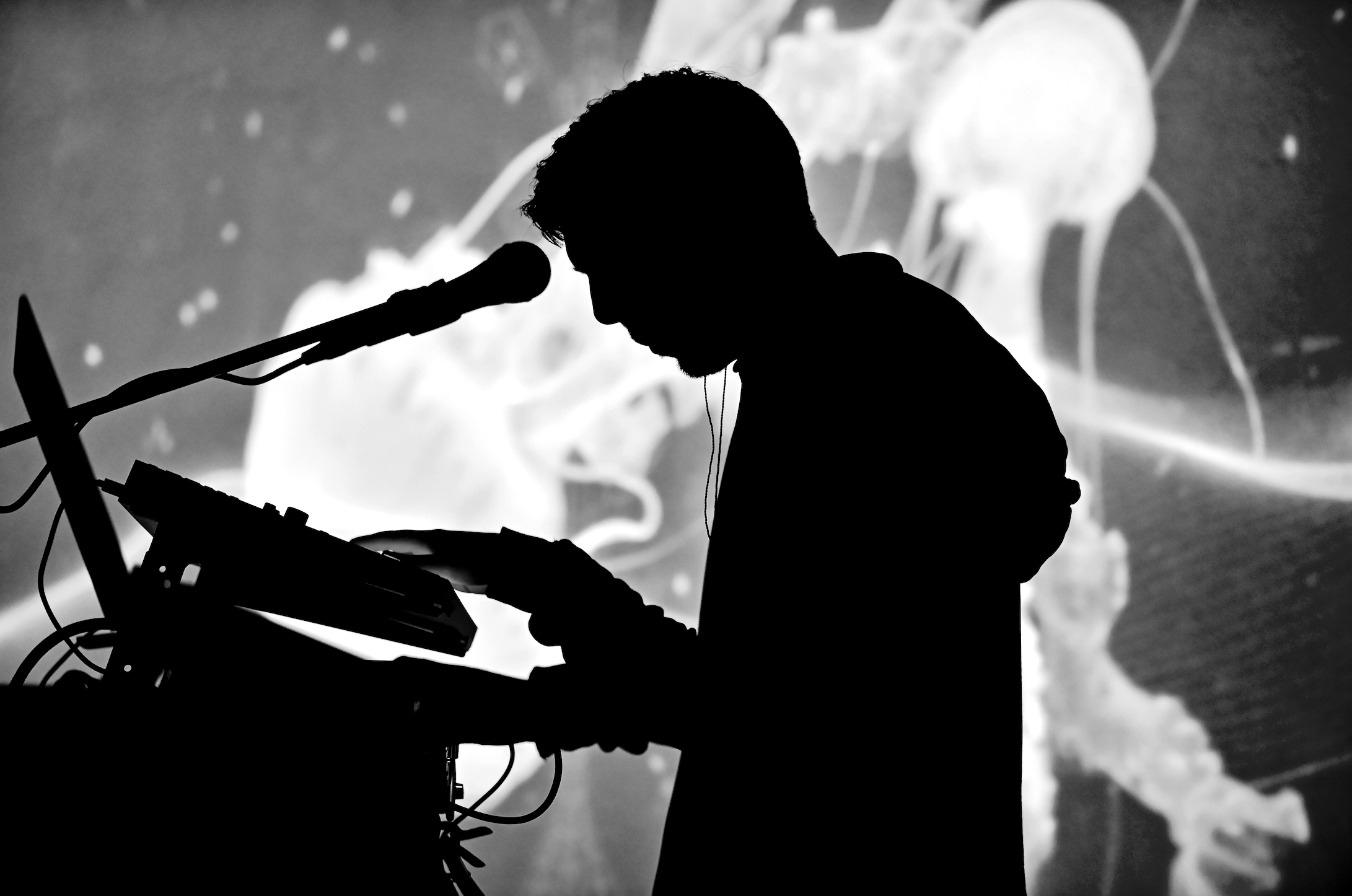 0dff61_80583a1b009249799a34b93eea3e65be~mv2